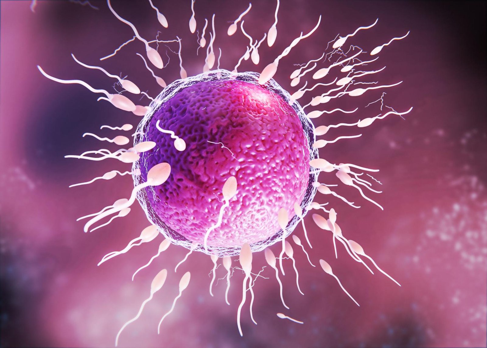 Best IVF Hospital in Mumbai